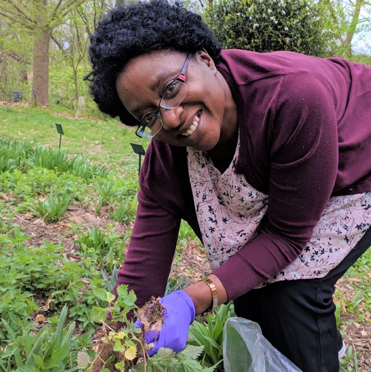 Obanda collecting nettle at the Green Farmacy Garden